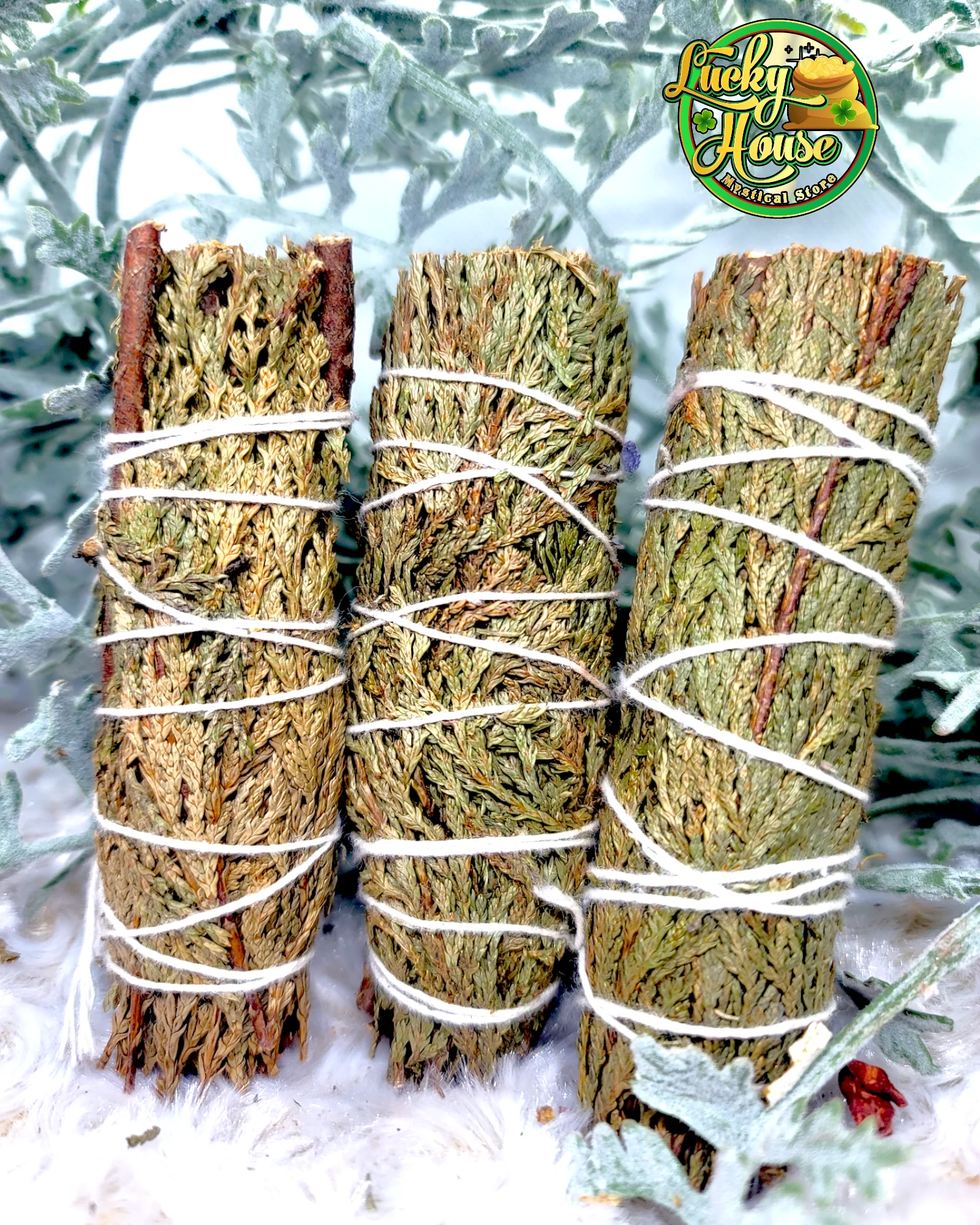 Cedar Sage Bundle - Image 2