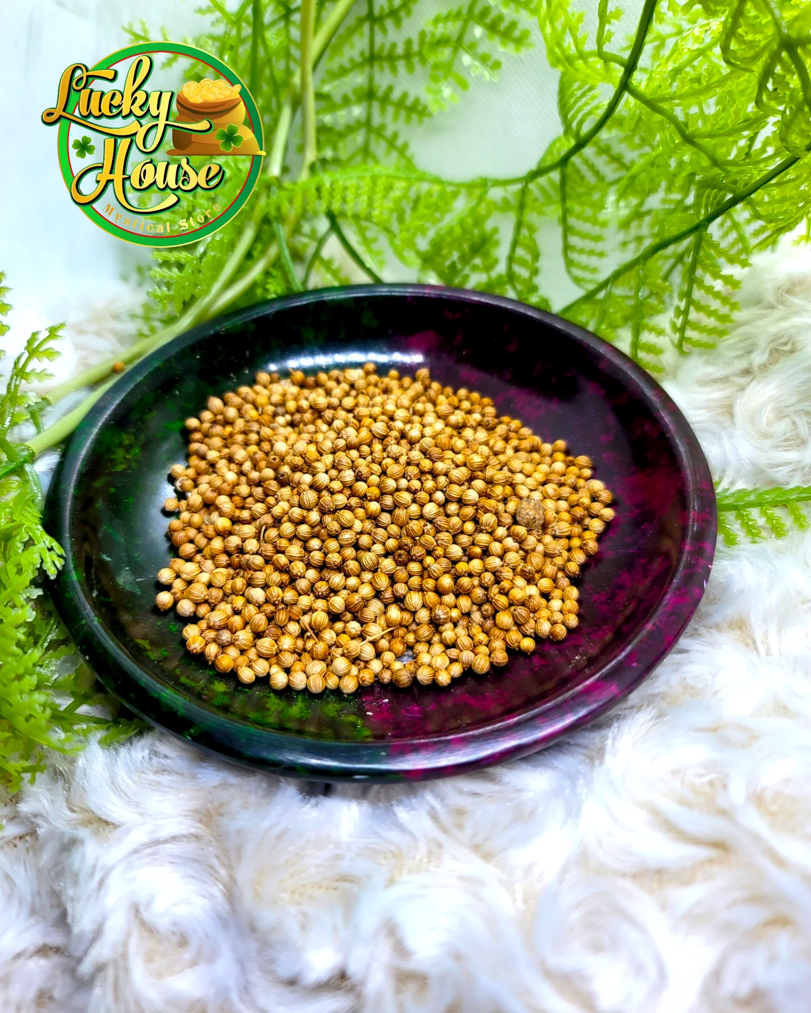 Coriander Seeds