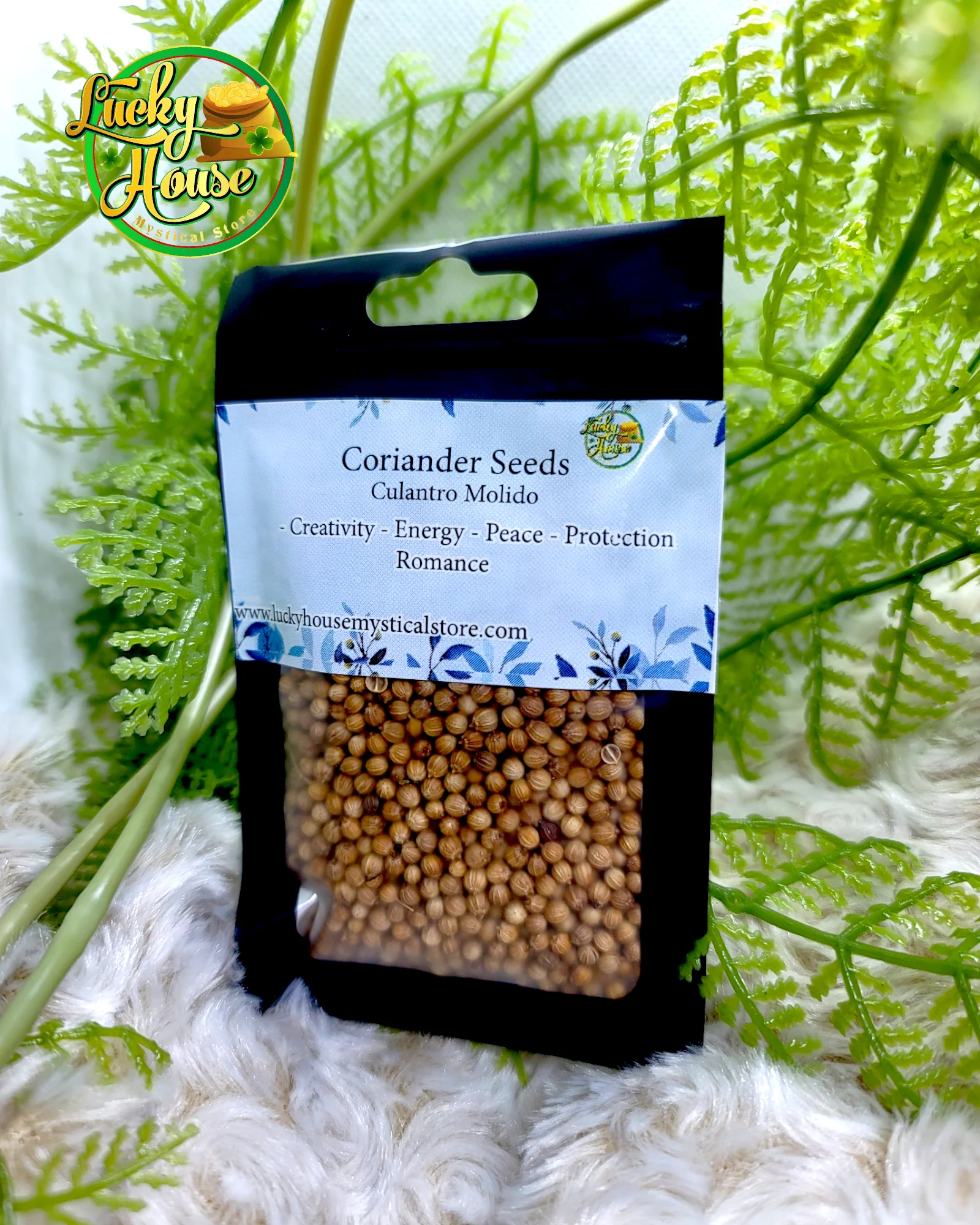 Coriander Seeds - Image 2