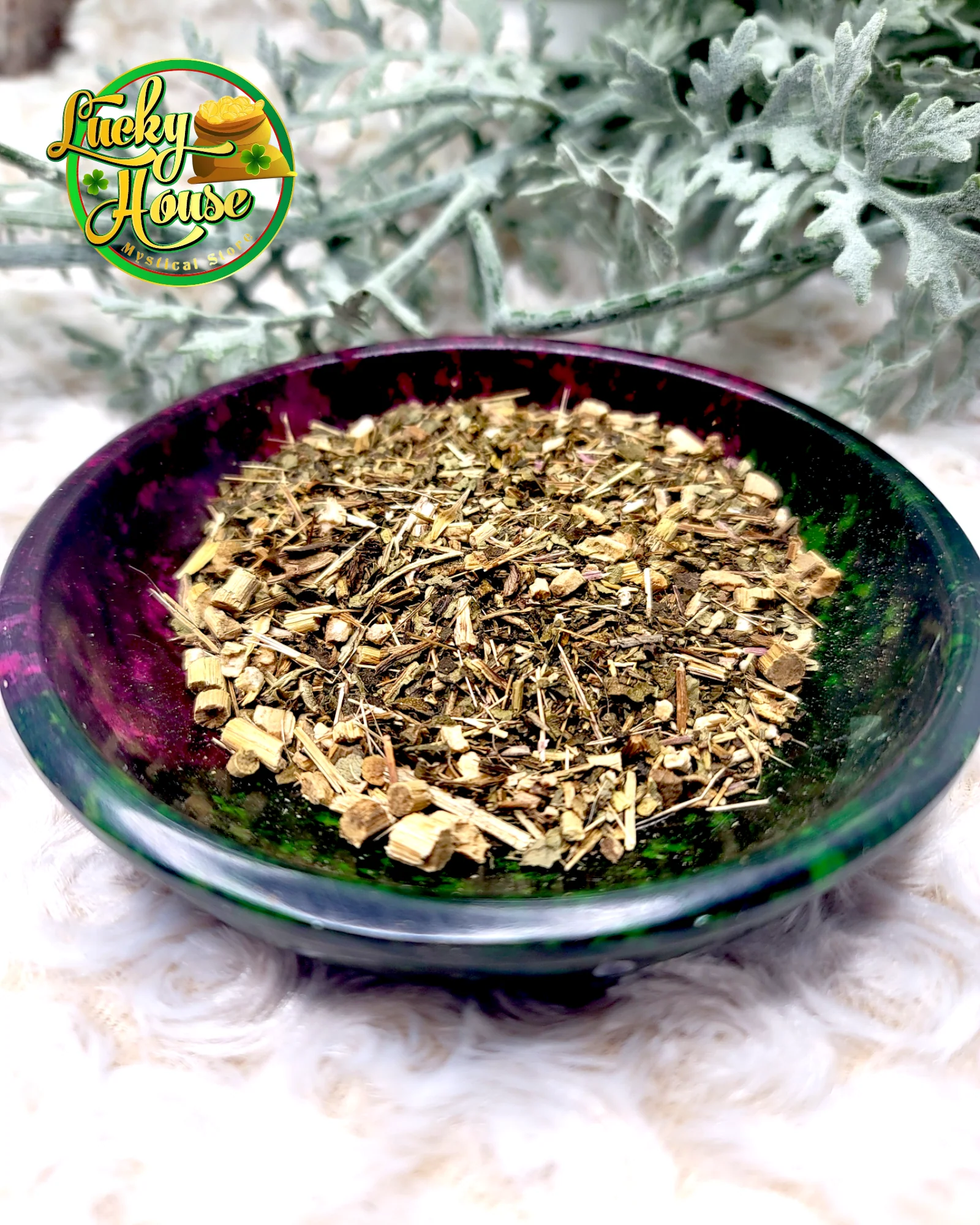 Echinacea