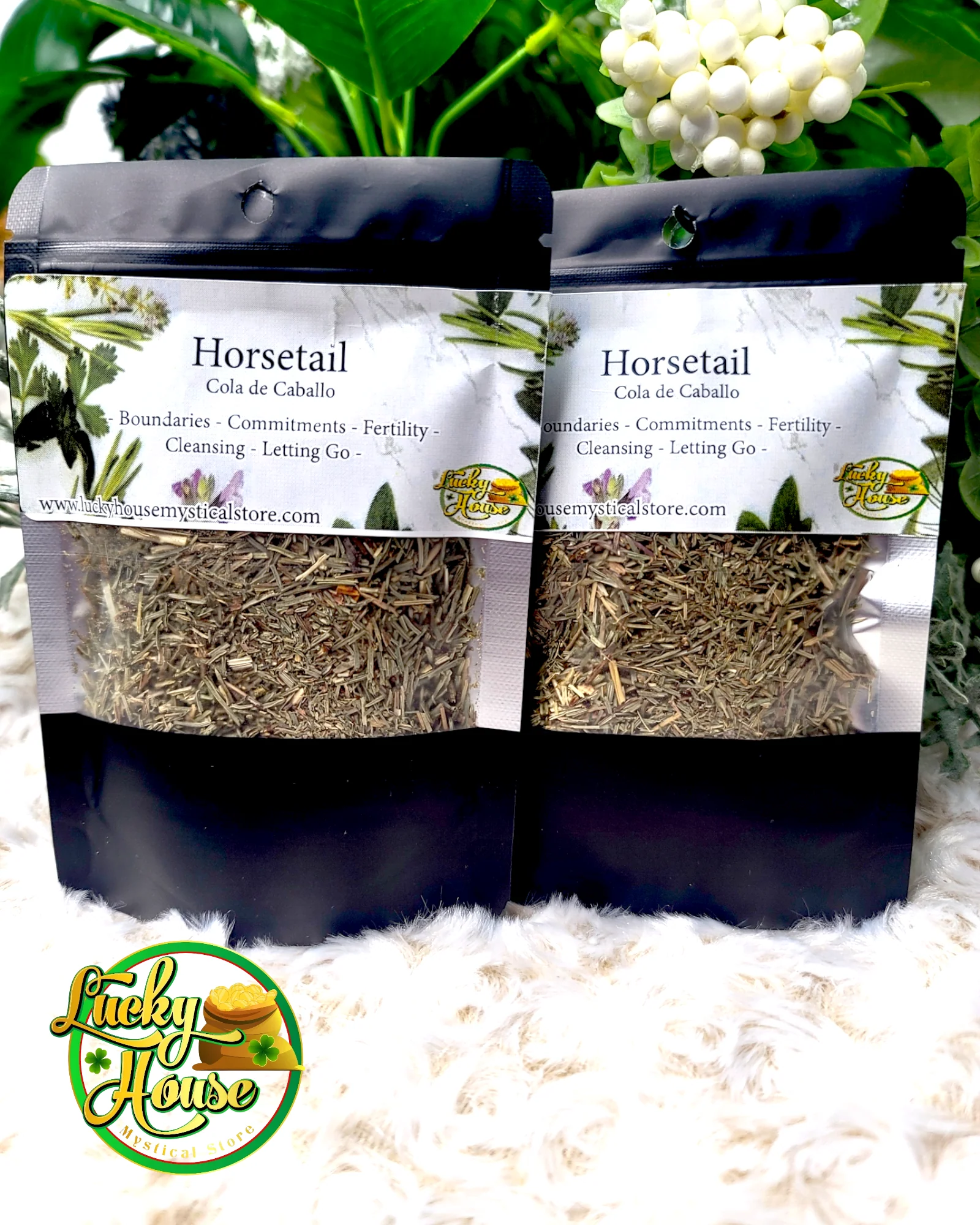 Horsetail Herb - Image 2