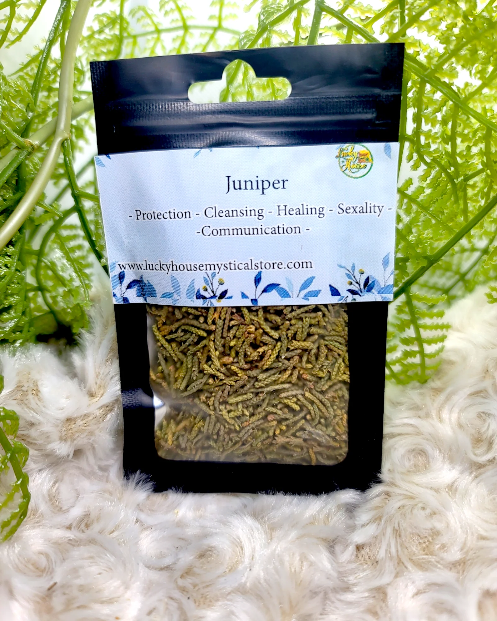 Juniper - Image 2