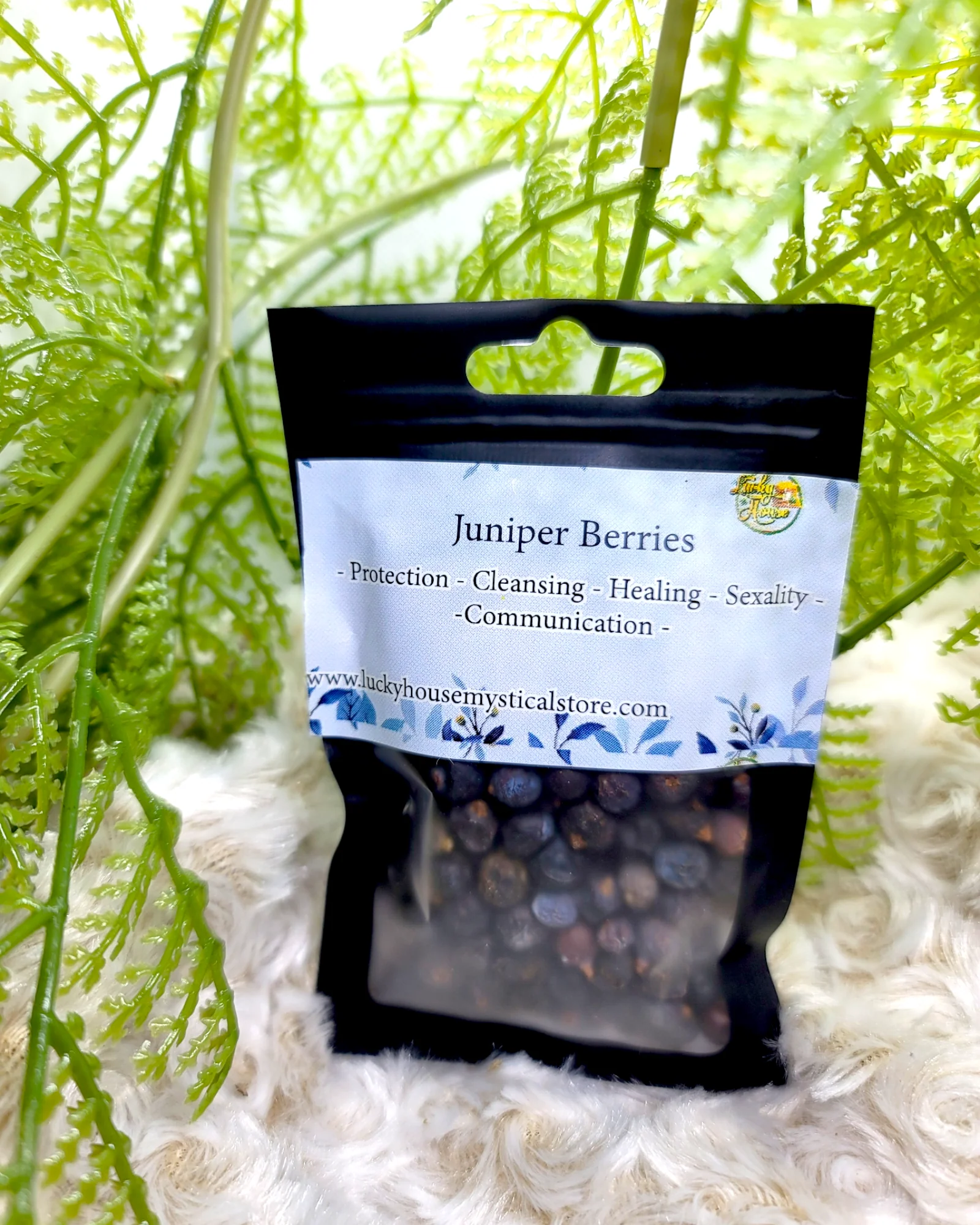 Juniper Berries - Image 2