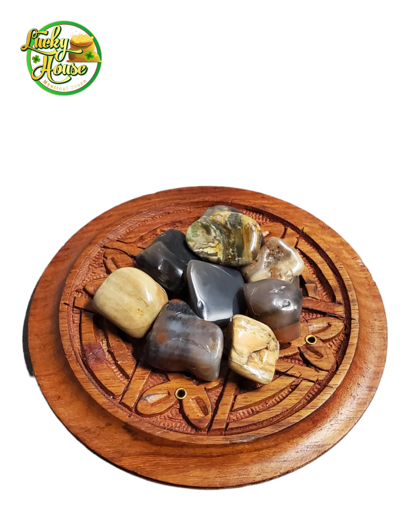 Petrified Wood Tumbled Stone - Image 2