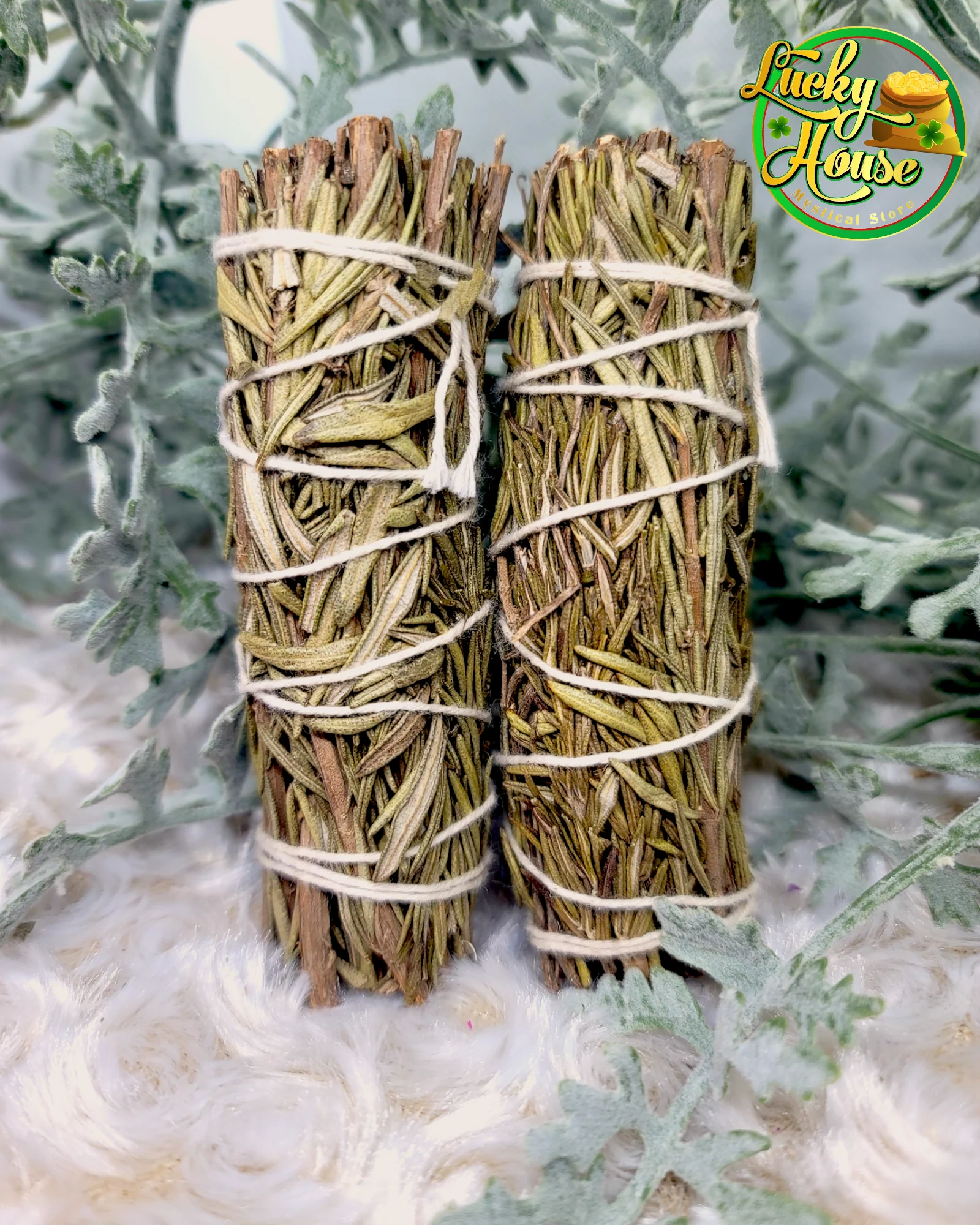 Rosemary Sage Bundle - Image 2