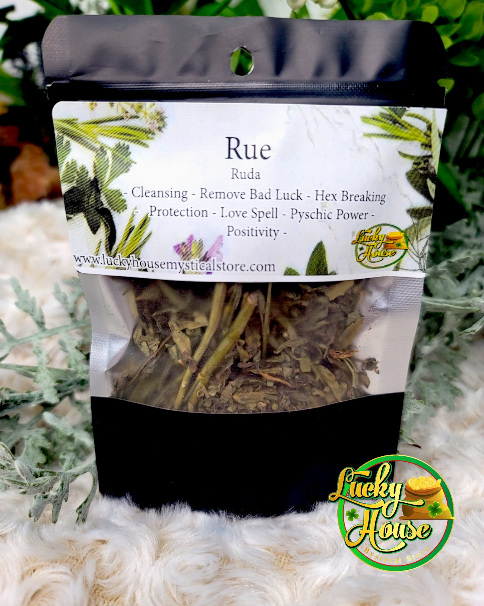 Ruda Rue - Image 2