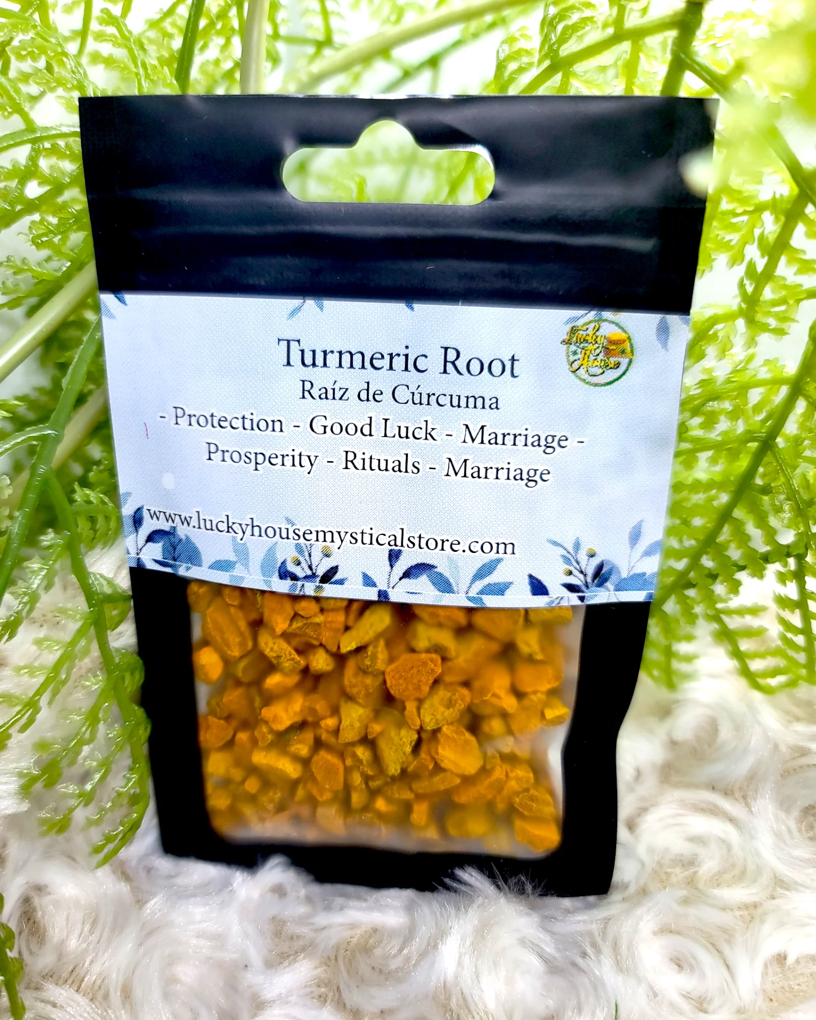 Turmeric Root - Image 3