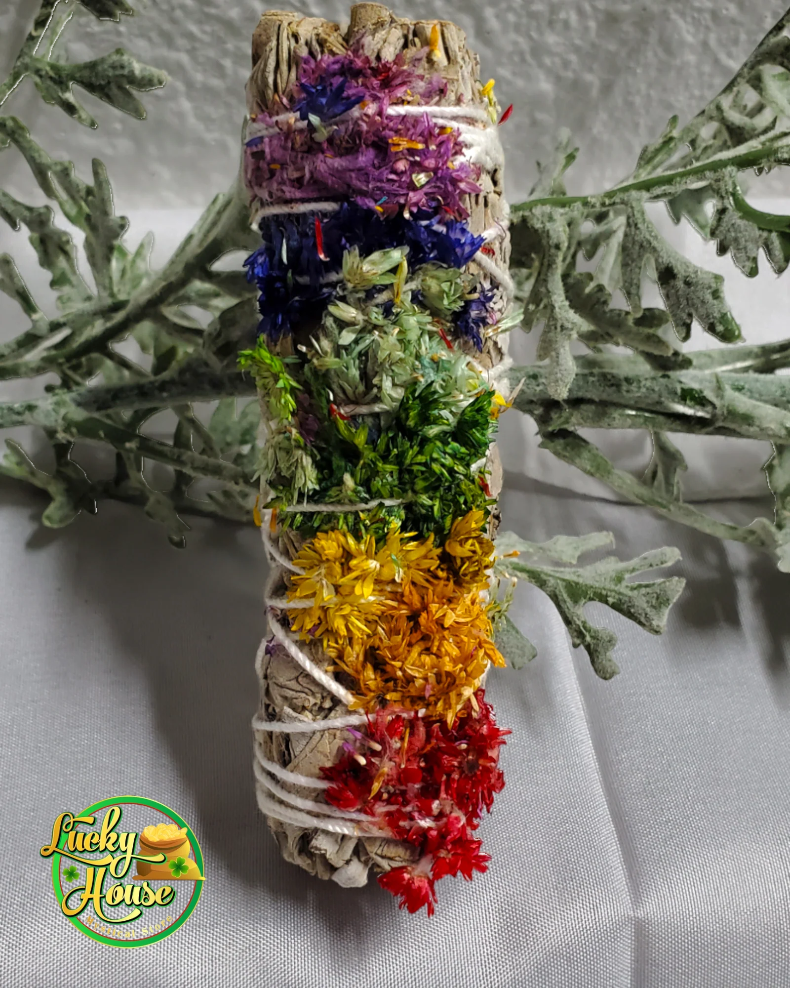 White Sage with Rainbow Sinuata